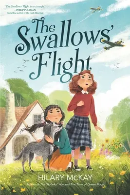 Let lastovičiek - The Swallows' Flight