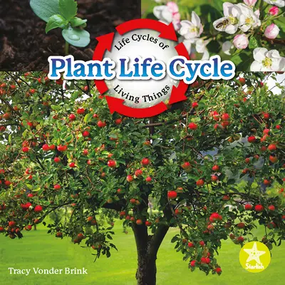 Životný cyklus rastlín - Plant Life Cycle