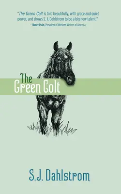 Zelený kolt: Dobrodružstvá Wildera Good #4 - The Green Colt: The Adventures of Wilder Good #4