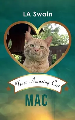 Mac: Najúžasnejšia mačka - Mac: Most Amazing Cat