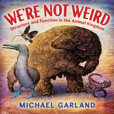 Nie sme divní: štruktúra a funkcia v živočíšnej ríši - We're Not Weird: Structure and Function in the Animal Kingdom