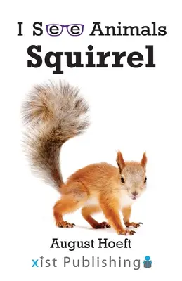 Veverička - Squirrel