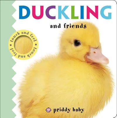 Kačička a kamaráti - Duckling and Friends
