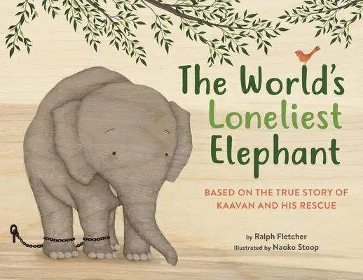 Najosamelejší slon na svete: Na základe skutočného príbehu Kaavana a jeho záchrany - The World's Loneliest Elephant: Based on the True Story of Kaavan and His Rescue
