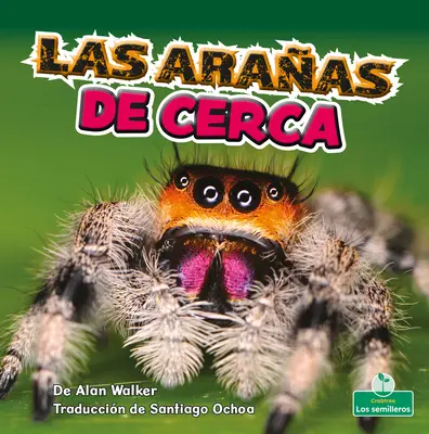 Las Araas de Cerca (Pavúky zblízka) - Las Araas de Cerca (Spiders Up Close)
