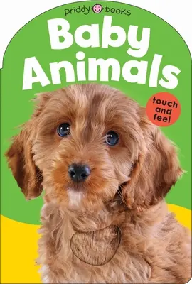 Detský hmat a dotyk: Detské zvieratká - Baby Touch & Feel: Baby Animals