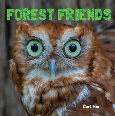 Lesní priatelia - Forest Friends