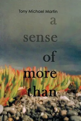 Zmysel pre viac ako - A Sense of More Than