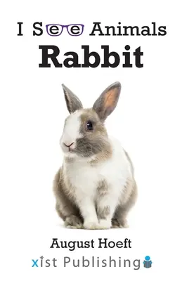 Králik - Rabbit