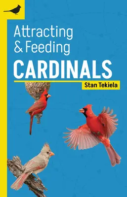 Vábenie a kŕmenie kardinálov - Attracting & Feeding Cardinals
