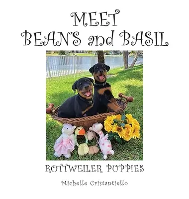 Zoznámte sa s fazuľou a bazalkou - Meet Beans and Basil