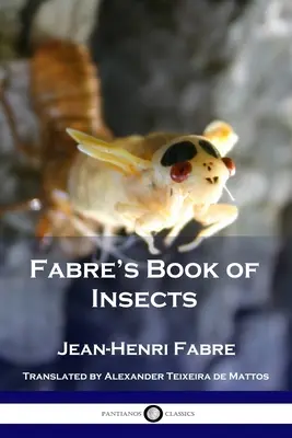 Fabrova kniha o hmyze - Fabre's Book of Insects