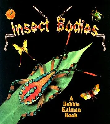 Hmyzie telá - Insect Bodies