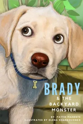 Brady a príšera na dvore - Brady and the Backyard Monster