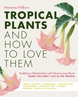 Tropické rastliny a ako ich milovať: budovanie vzťahu s teplomilnými rastlinami, keď nežijete v trópoch - Angel's Trumpets - Lemongra - Tropical Plants and How to Love Them: Building a Relationship with Heat-Loving Plants When You Don't Live in the Tropics - Angel's Trumpets - Lemongra