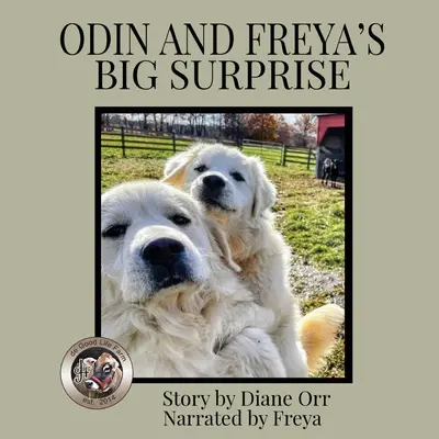 Veľké prekvapenie Odina a Freye: A de Good Life Farm book - Odin and Freya's Big Surprise: A de Good Life Farm book
