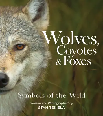 Vlci, kojoti a líšky: Symboly divočiny - Wolves, Coyotes & Foxes: Symbols of the Wild