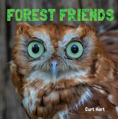 Priatelia lesa - Forest Friends