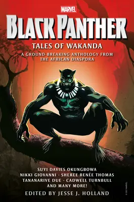 Čierny panter: Príbehy Wakandy - Black Panther: Tales of Wakanda
