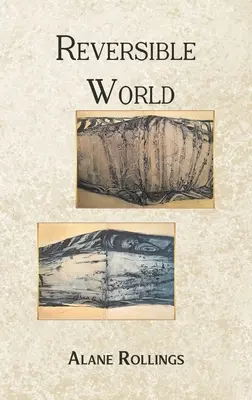 Obojstranný svet - Reversible World