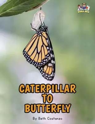 Písmeno C - od húsenice po motýľa pre deti 3-8 rokov - Letter C - Caterpillar to Butterfly for Kids 3-8