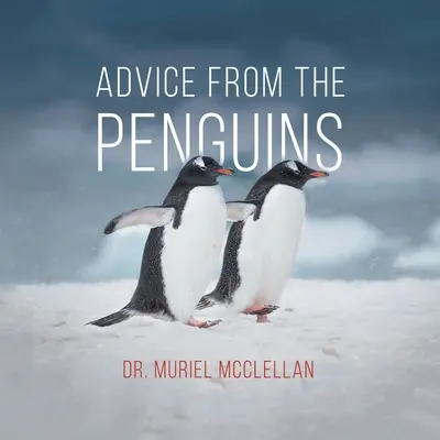 Rady od tučniakov - Advice from the Penguins