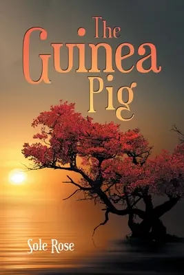 Morča - The Guinea Pig