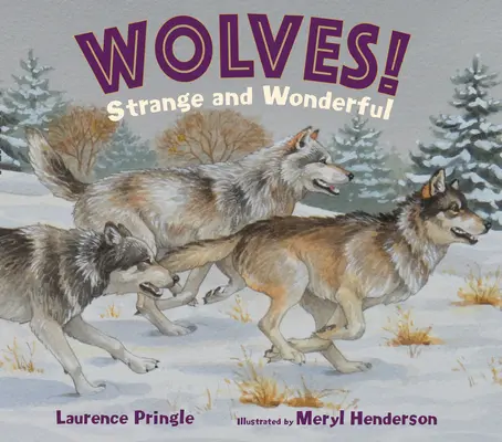 Vlci! Zvláštne a úžasné - Wolves! Strange and Wonderful