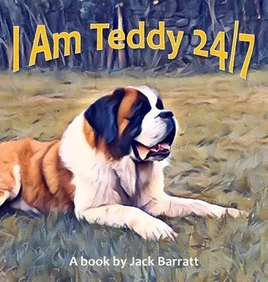 Som Teddy 24/7 - I Am Teddy 24/7