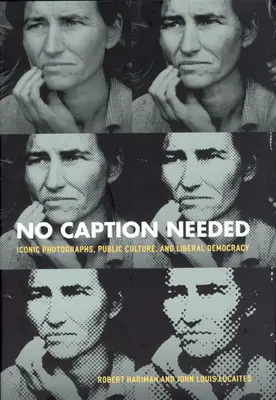 Nie je potrebný žiadny titulok: Ikonické fotografie, verejná kultúra a liberálna demokracia - No Caption Needed: Iconic Photographs, Public Culture, and Liberal Democracy