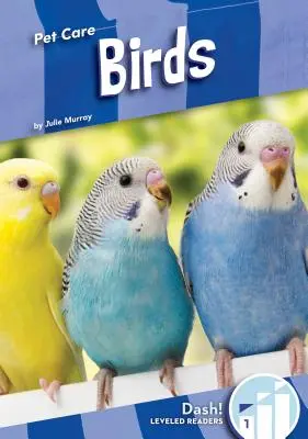 Vtáky - Birds
