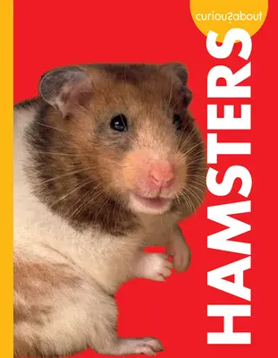 Zvedavosť na škrečky - Curious about Hamsters