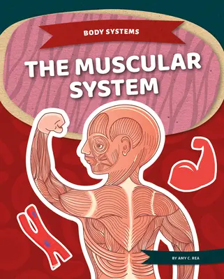 Svalový systém - The Muscular System