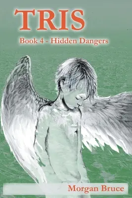 Tris 4: Skryté nebezpečenstvo - Tris 4: Hidden Dangers