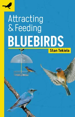 Prilákanie a kŕmenie modrých vtákov - Attracting & Feeding Bluebirds