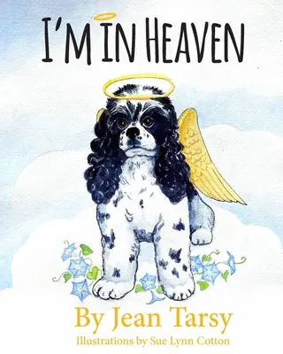 Som v nebi - I'm in Heaven