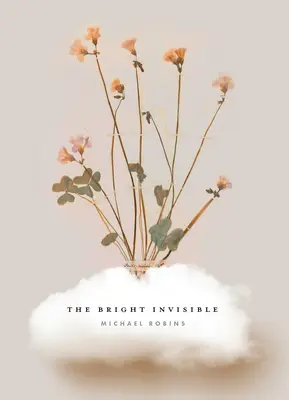 Jasná neviditeľnosť - The Bright Invisible