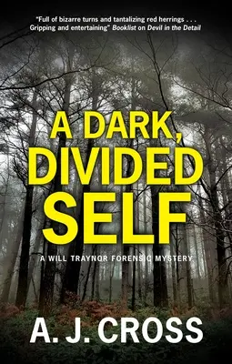 Temné, rozdelené ja - A Dark, Divided Self