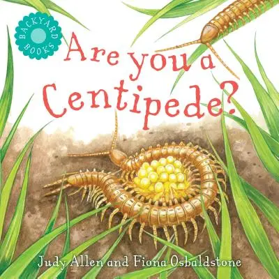 Si stonožka? - Are You a Centipede?