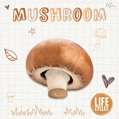 Huby - Mushroom
