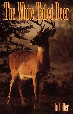 Jeleň s bielym chvostom - The White-Tailed Deer