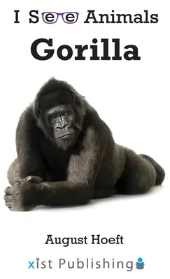 Gorila - Gorilla