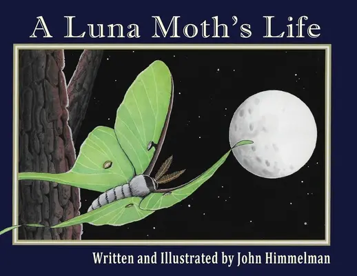 Život lunovej mole - A Luna Moth's Life