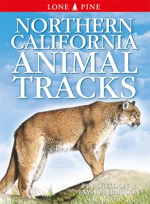 Stopy zvierat v severnej Kalifornii - Northern California Animal Tracks