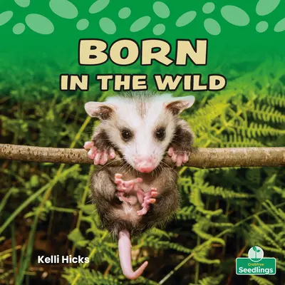 Narodený v divočine - Born in the Wild