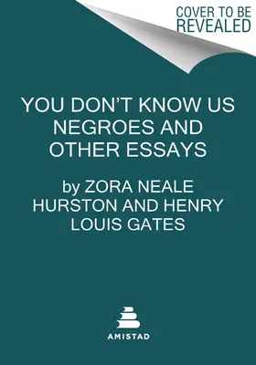 Vy nás černochov nepoznáte a iné eseje - You Don't Know Us Negroes and Other Essays