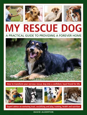 Môj záchranársky pes - My Rescue Dog