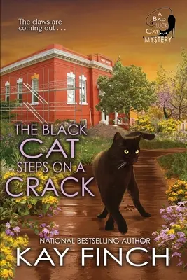 Čierna mačka šliape na prasklinu - The Black Cat Steps on a Crack