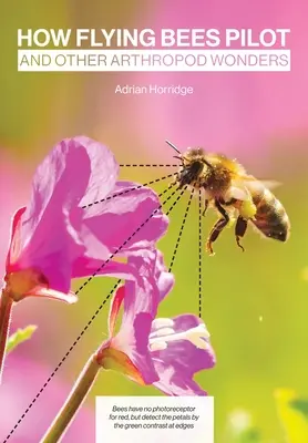 Ako lietajú včely a iné zázraky článkonožcov - How Flying Bees Pilot, and other arthropod wonders