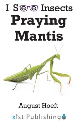 Kudlanka nábožná - Praying Mantis